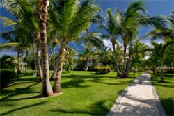 Catalonia Bavaro Hotel